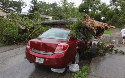 Storm Damage Insurance Claims: Having and Knowing the Contract